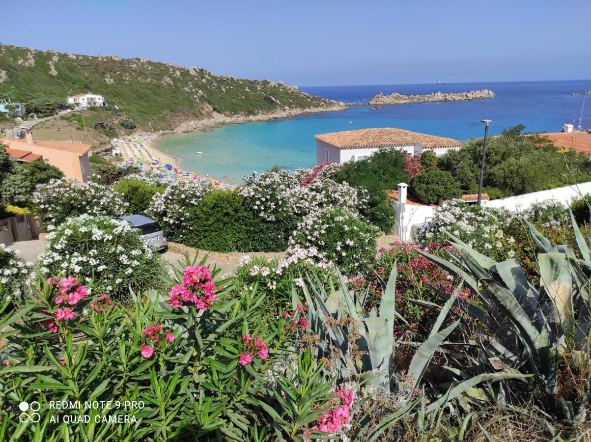 B&B Domus De Janas Santa Teresa Gallura Exteriér fotografie